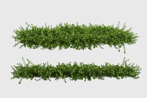 Schöne verschiedene Arten von Blumen in 3D-Rendering isoliert