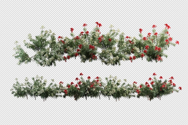 Schöne verschiedene Arten von Blumen in 3D-Rendering isoliert