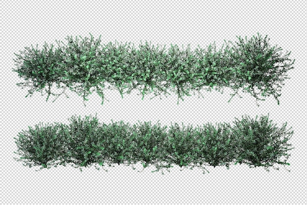 Schöne verschiedene Arten von Blumen in 3D-Rendering isoliert