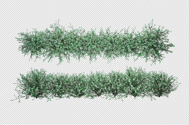 Schöne verschiedene arten von blumen in 3d-rendering isoliert