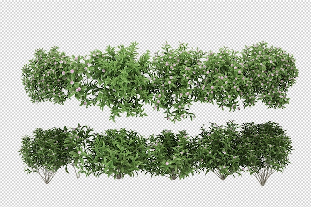 Schöne verschiedene arten von blumen in 3d-rendering isoliert