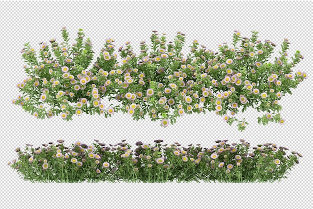 Schöne verschiedene Arten von Blumen in 3D-Rendering isoliert