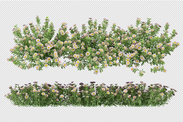 Schöne verschiedene arten von blumen in 3d-rendering isoliert