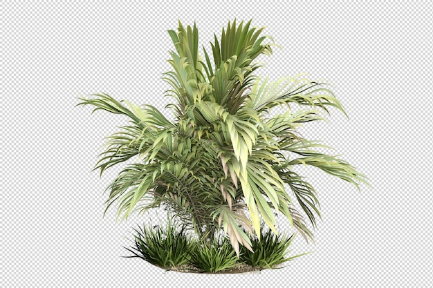 Schöne verschiedene Arten von Blumen in 3D-Rendering isoliert
