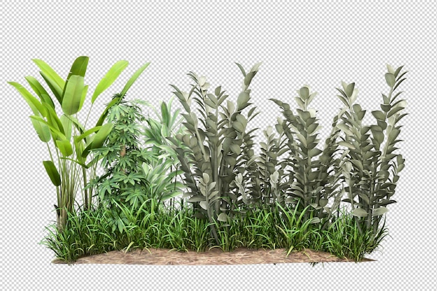 Schöne verschiedene Arten von Blumen in 3D-Rendering isoliert
