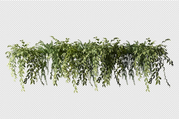 Schöne verschiedene Arten von Blumen in 3D-Rendering isoliert