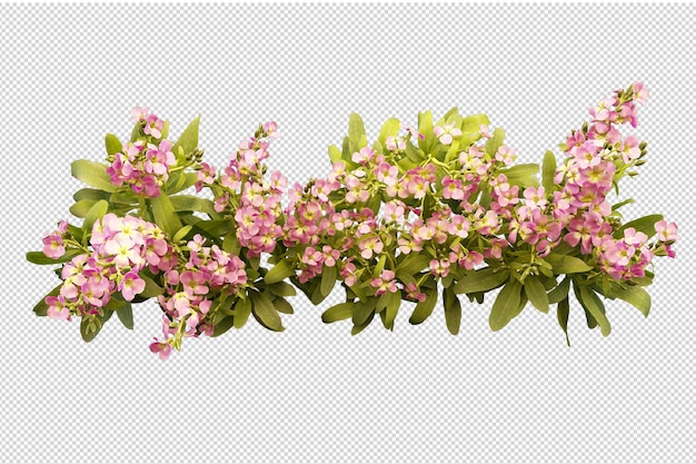 Schöne verschiedene Arten von Blumen in 3D-Rendering isoliert
