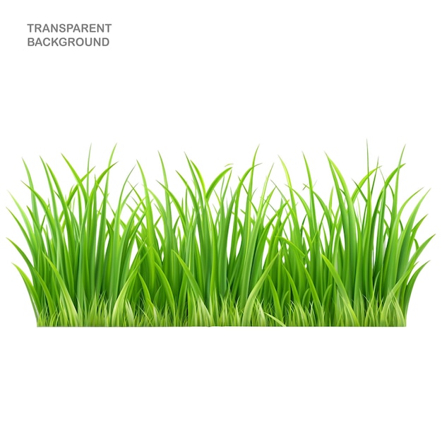 Schönes grünes Gras im frühen Frühling isoliert auf einem klaren Hintergrund Künstliche Intelligenz