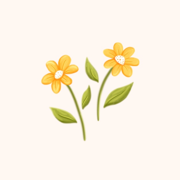 Schönheitsgänseblümchen-Blumenhandzeichnung mit Bleistiftbeschaffenheitsillustration