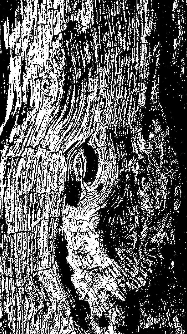 PSD schwarze baumrinde-textur rinde auf weißem hintergrund alter baum-hintergrund-vektor holz-grunge-textur