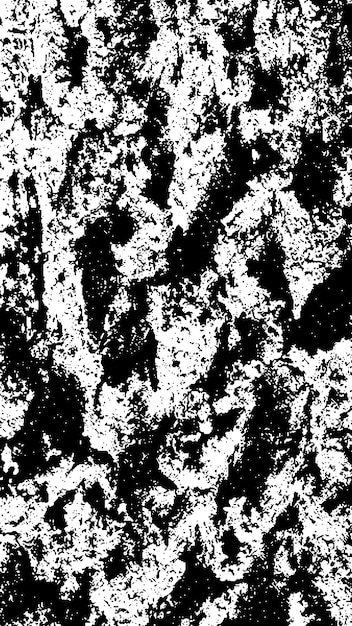 Schwarze Baumrinde-Textur Rinde auf weißem Hintergrund Alter Baum-Hintergrund-Vektor Holz-Grunge-Textur
