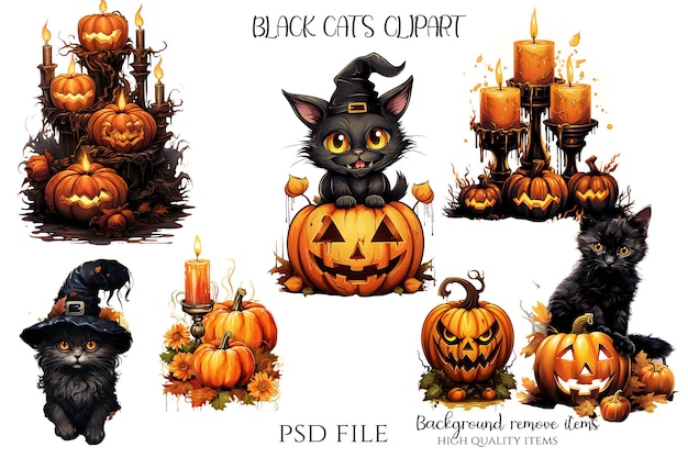 PSD schwarze katze hexe halloween