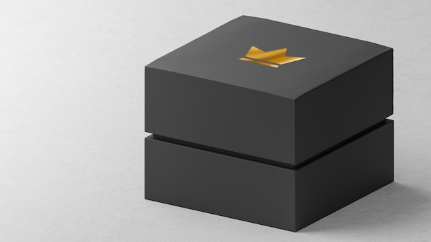 Schwarzer Schmuck Uhrenkasten des luxuriösen Logo-Modells
