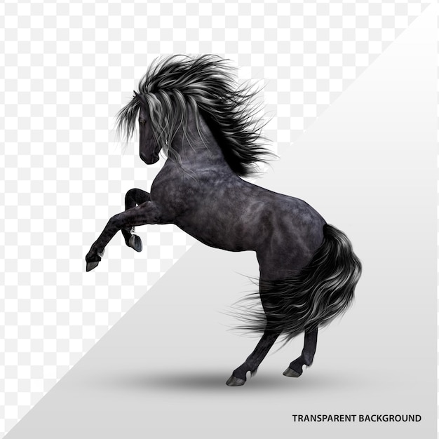 Schwarzes Pferd