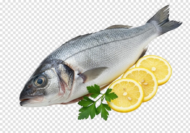 Sea Bass with Lemon and Parsley