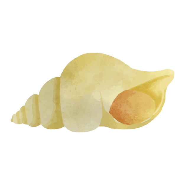Seashell seafood illustration design