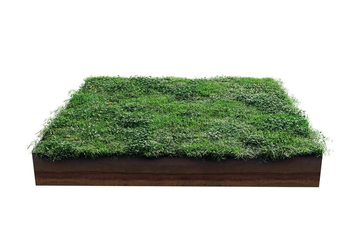 PSD sección transversal de geología del suelo cuadrada con flores de hierba verde hierba verde o seca aislada