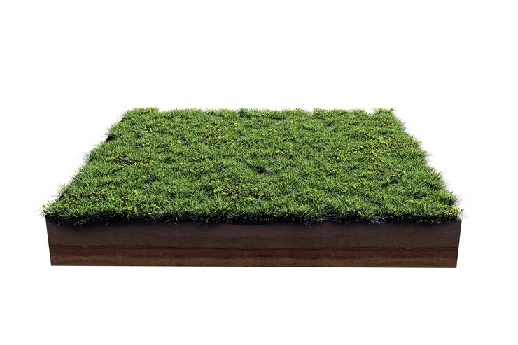 PSD sección transversal de geología del suelo cuadrada con flores de hierba verde hierba verde o seca aislada