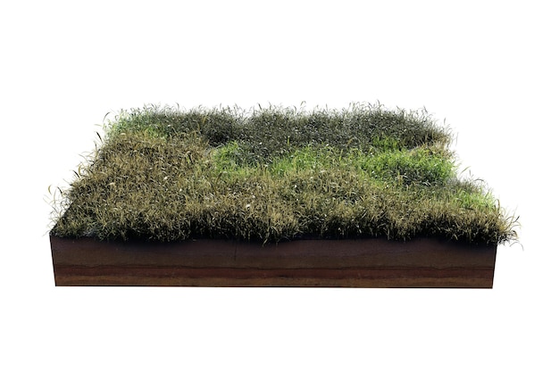 Sección transversal de geología del suelo cuadrada con flores de hierba verde hierba verde o seca aislada