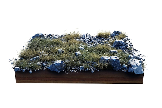 Sección transversal de geología del suelo cuadrada con flores de hierba verde hierba verde o seca aislada