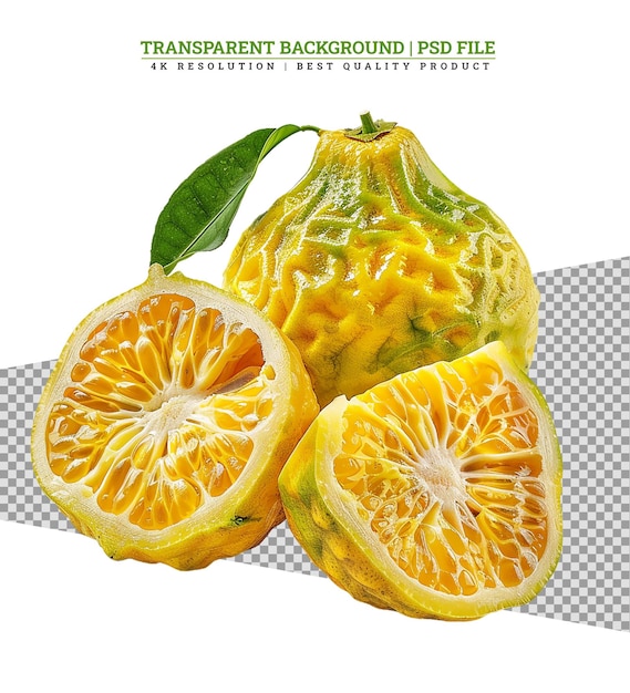 PSD section d'un fruit de mandarine