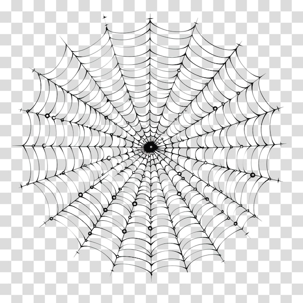 PSD seda de araña aislada en un fondo transparente png psd