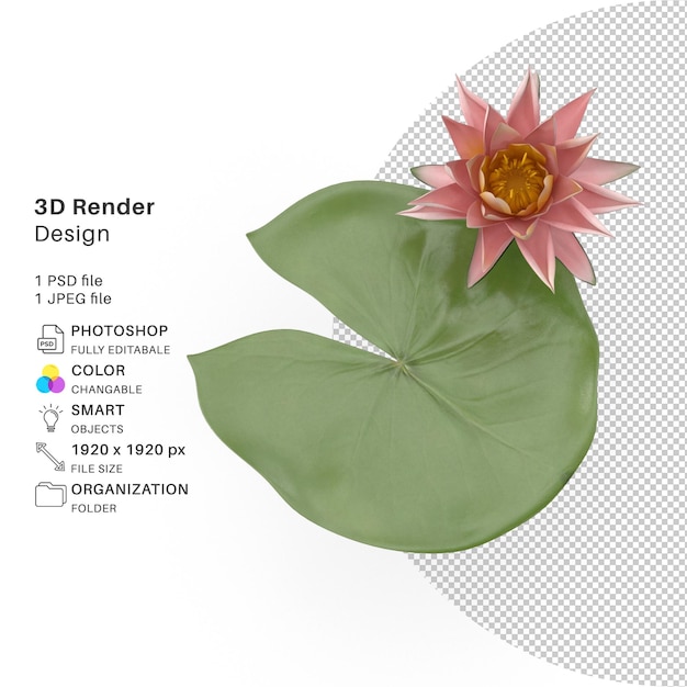 PSD seerose 3d-modellierung psd-datei realistisch