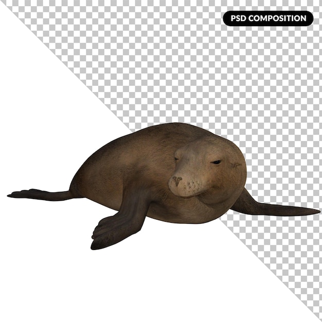 Selo animal isolado renderização em 3d