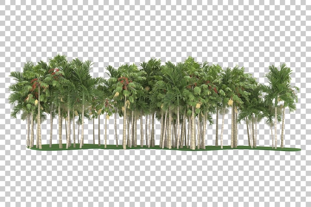 Selva tropical em fundo transparente. renderização em 3d - ilustração