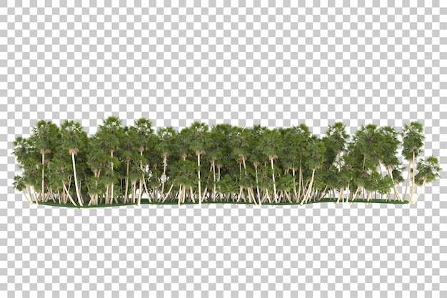 Selva tropical em fundo transparente. renderização em 3d - ilustração