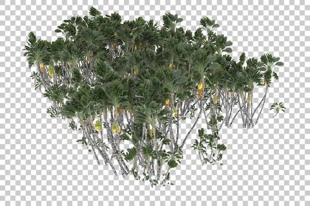 Selva tropical em fundo transparente. renderização em 3d - ilustração