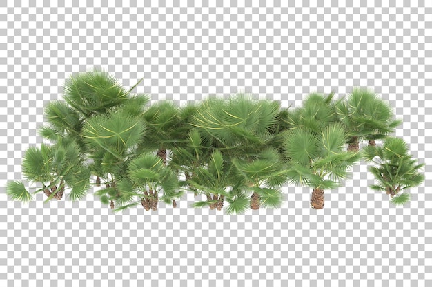 Selva tropical em fundo transparente. renderização em 3D - ilustração