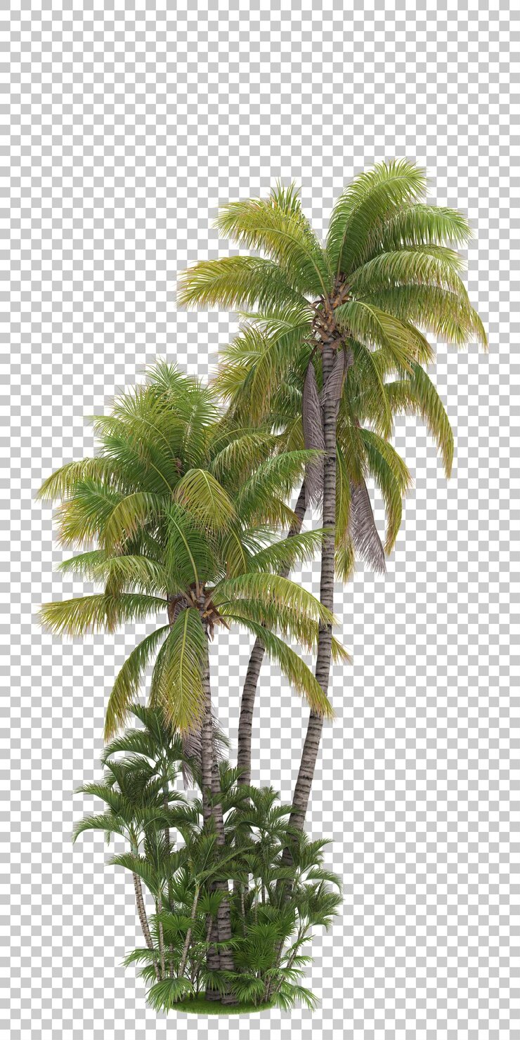 PSD selva tropical en la ilustración de renderizado 3d de fondo transparente