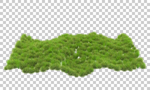 Selva tropical en la ilustración de renderizado 3d de fondo transparente