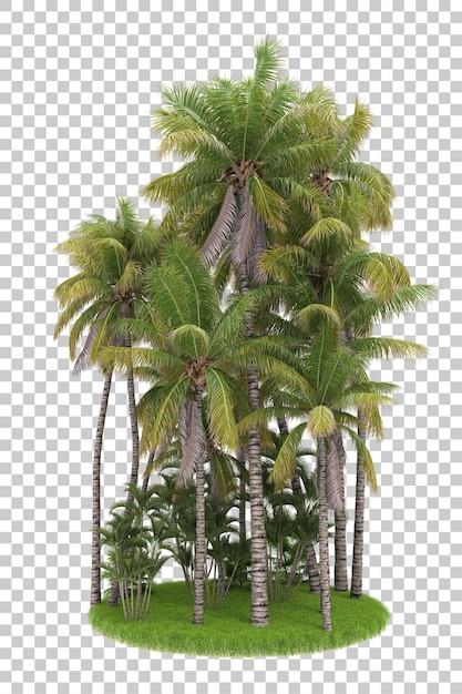 Selva tropical na ilustração de renderização 3d de fundo transparente