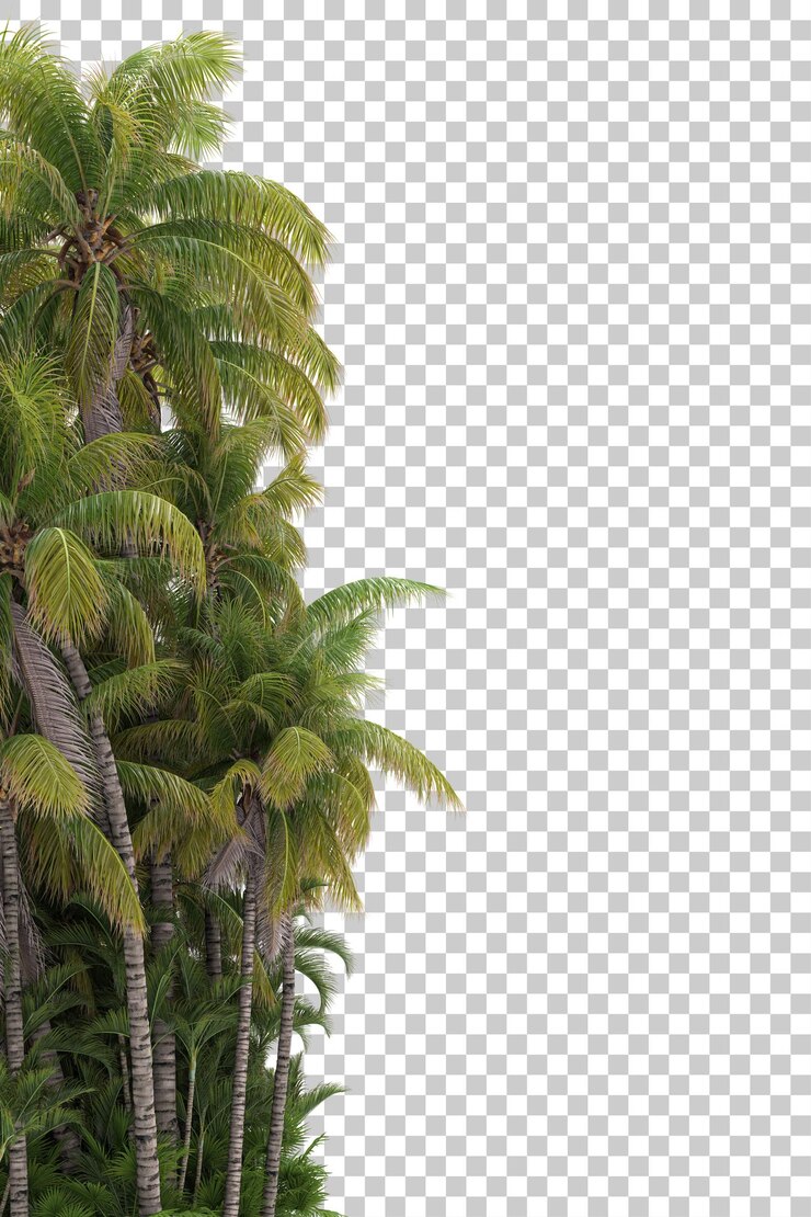 PSD selva tropical na ilustração de renderização 3d de fundo transparente