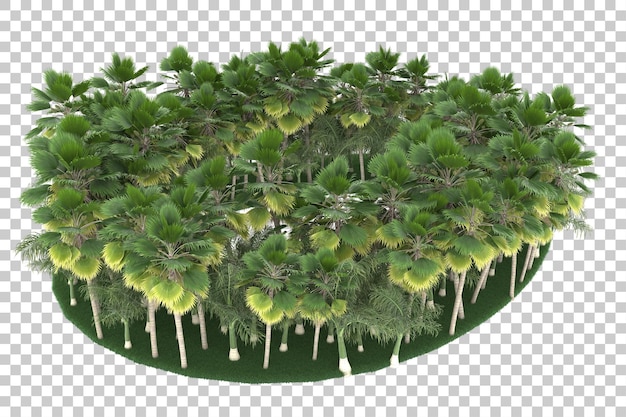 Selva tropical sobre fondo transparente. representación 3d - ilustración