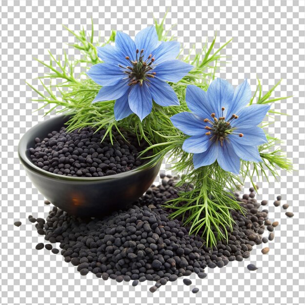 PSD sementes de cominho preto com flor de nigella sativa em fundo transparente