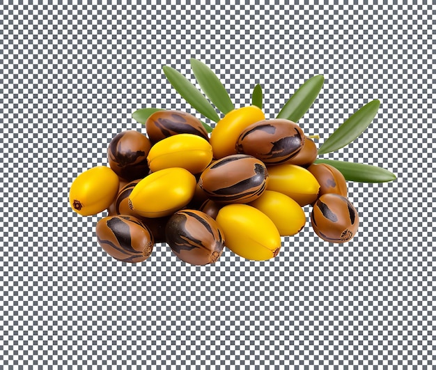 Sementes de jojoba isoladas sobre um fundo transparente
