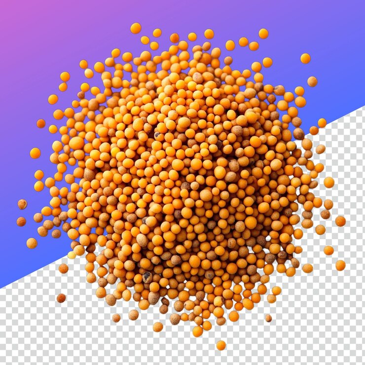 PSD semillas de mostaza de alta calidad png imagen para usos culinarios