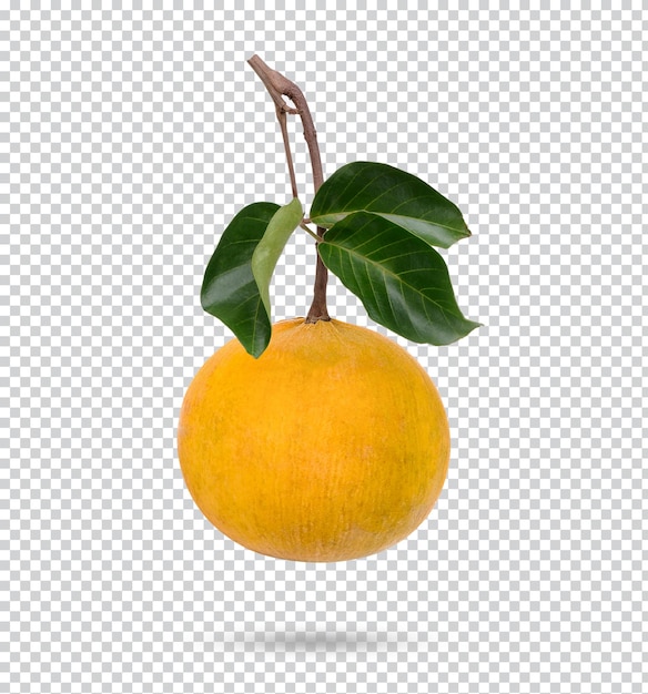 Sentol fruit avec des feuilles isolées PSD Premium