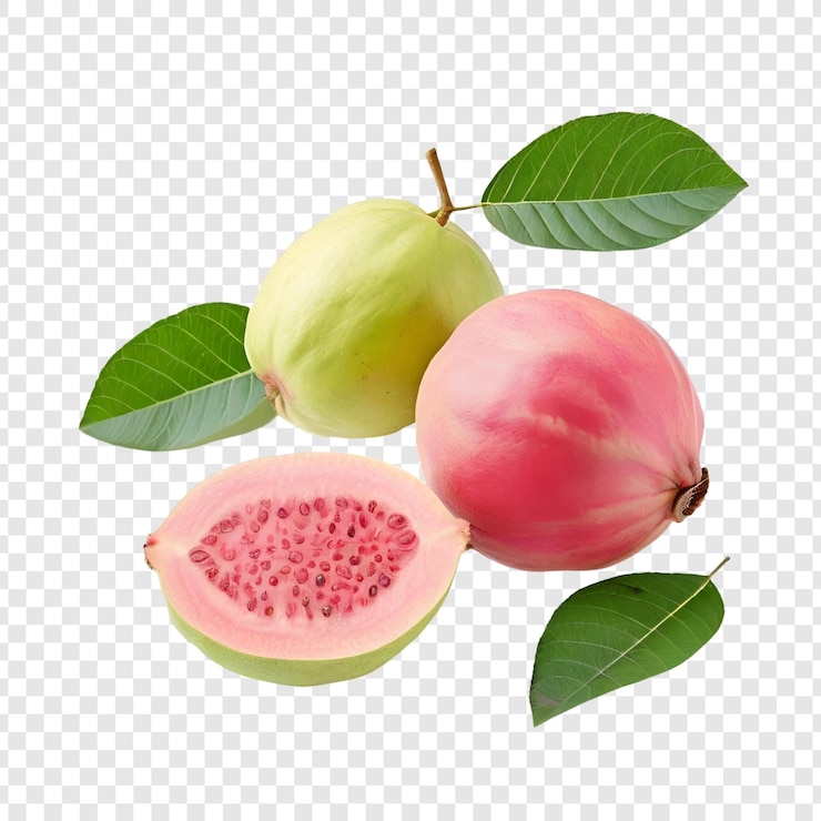 PSD senza titolo1