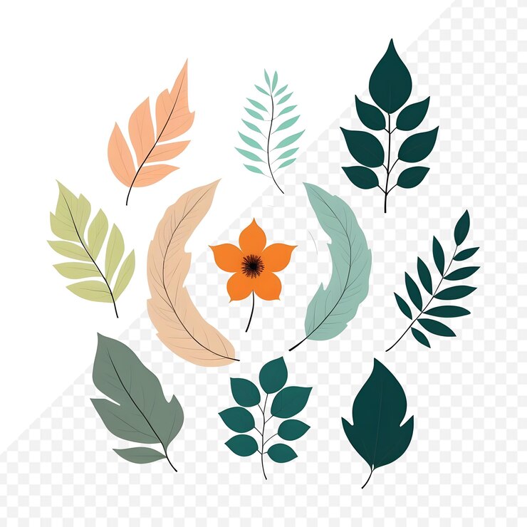 PSD una serie de hojas de diferentes colores con una flor en el fondo transparente del medio