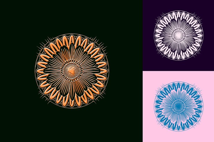 PSD una serie de imágenes de una flor y un diseño con las palabras "el nombre" en él
