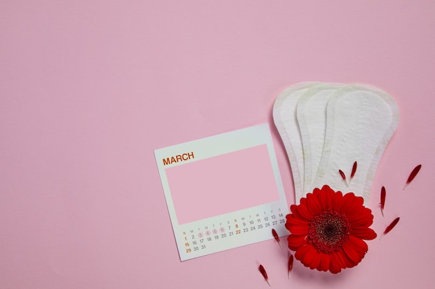 Serviettes hygiéniques menstruelles, calendrier féminin