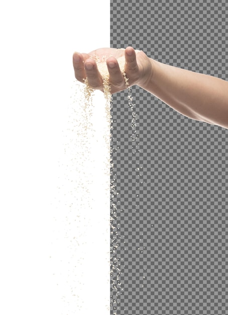 Sésamo blanco que desemboca de los dedos de la mano sésamo blanco grano onda flotante caída en el aire semilla de albahaca es alimento orgánico saludable fondo blanco aislado obturador de alta velocidad congelar parar movimiento