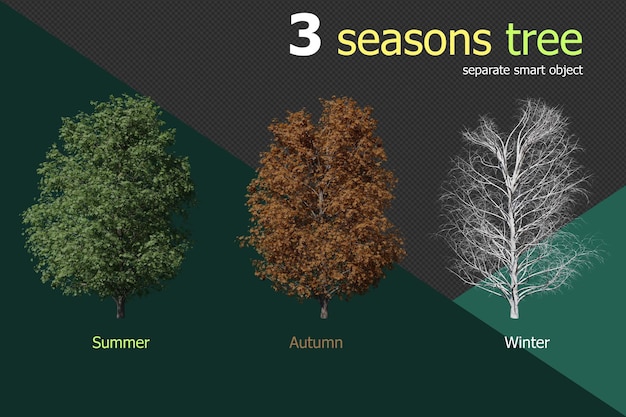Set 3 stagioni di castagno sfondo trasparente