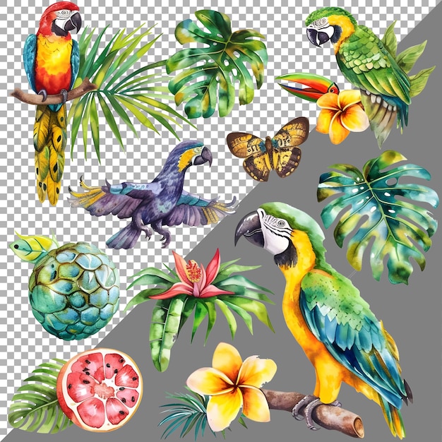 Set D'aquarelles D'animaux Et D'oiseaux Sur Fond Transparent Généré Par Ai