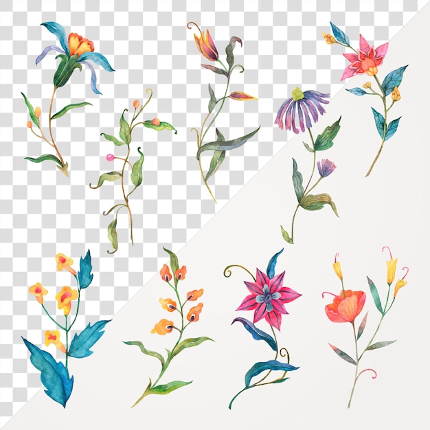 Set d'autocollants à fleurs aquarelles colorées Png