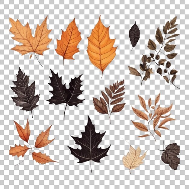 PSD set d'automne à l'aquarelle dessiné à la main laisse un fond transparent